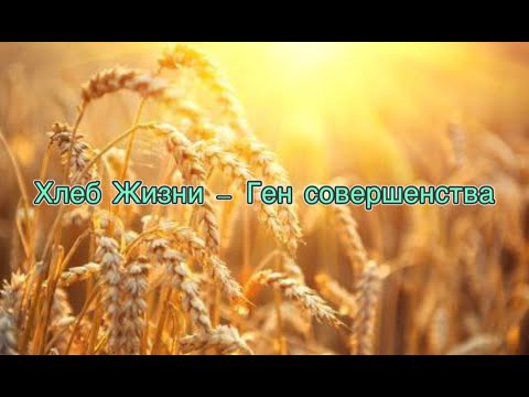 Video: Tswj Cov Subconscious Los Ntawm Txoj Kev Ntawm Mikhail Glyantsev