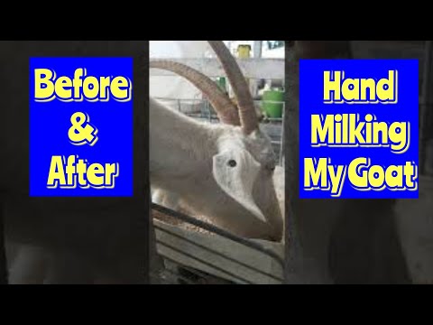 Before and After