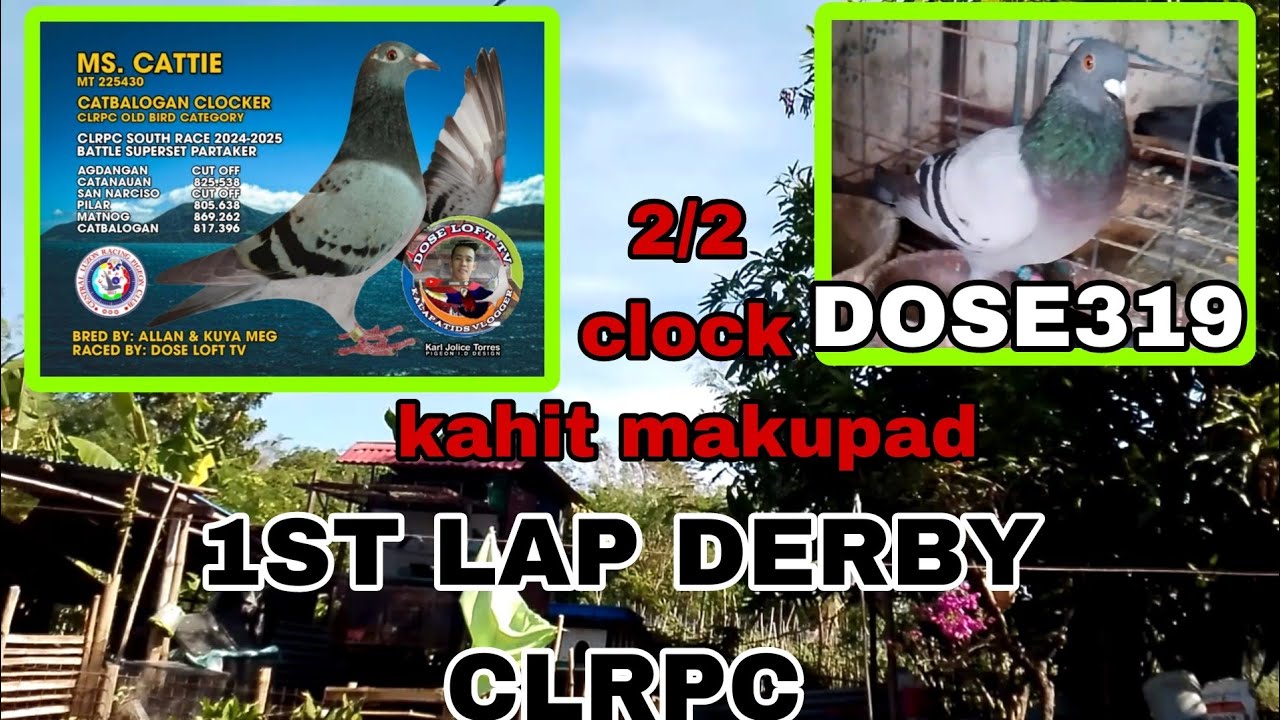 bakbakan na,dose319super ikot,bitin pa