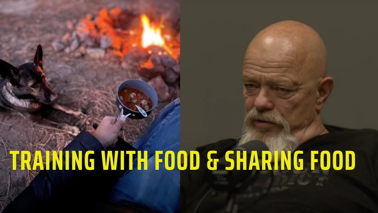 training-with-food-and-sharing-food-with-your-dog-youtube