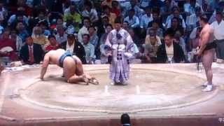 豊真将けが?平成26年名古屋場所五日目結び 日馬富士 日馬富士 検索動画23 豊真将けが?平成26年名古屋場所五日目結び 日馬富士 日馬富士 検索動画 23