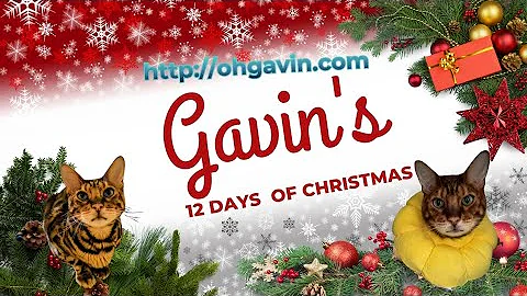 Grab Your Gavin Goodies Before They’re Gone! 🎄 Store Closing After Christmas   http://ohgavin.com