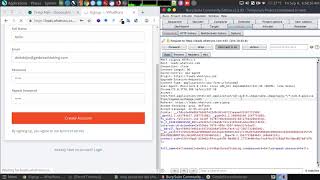 whatruns Long password DOS vulnerability