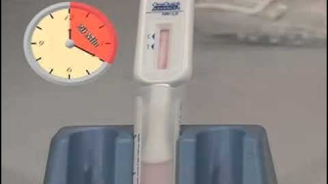 OraQuick Rapid Test Instruction