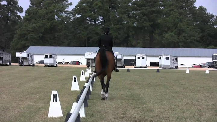 Rhonda Rides Titus Prix St Georges