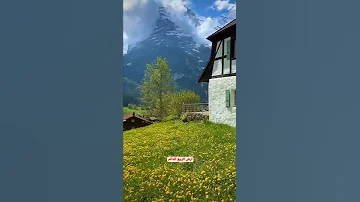 ارض الربيع الدائم Shortvideo Spring Shorts 
