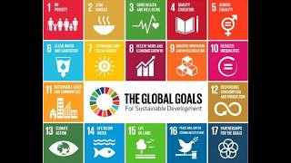 The Sustainable Development Goals Report 2025