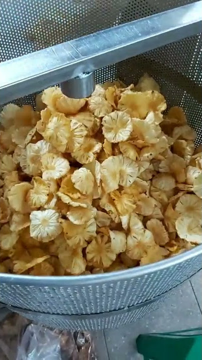 SPINNER ( Mesin Pengering Minyak KERIPIK BUAH