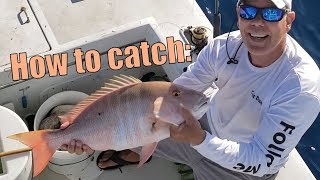 How to catch monster mutton snapper | Florida Keys {Catch Clean Cook}
