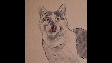 Cat drawing #timelapse #comic #shorts #shortsvideo #art #procreate #cat #procreatetimelapse