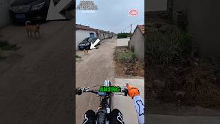 This man was chased by a dog. The ending was unexpected 😳 #shortsvideo #automobile #smartphone #m...