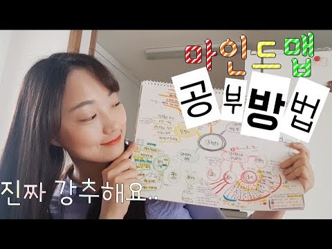 [쏘이톡톡] 나의 합격 공신!🏅 마인드맵 공부법
