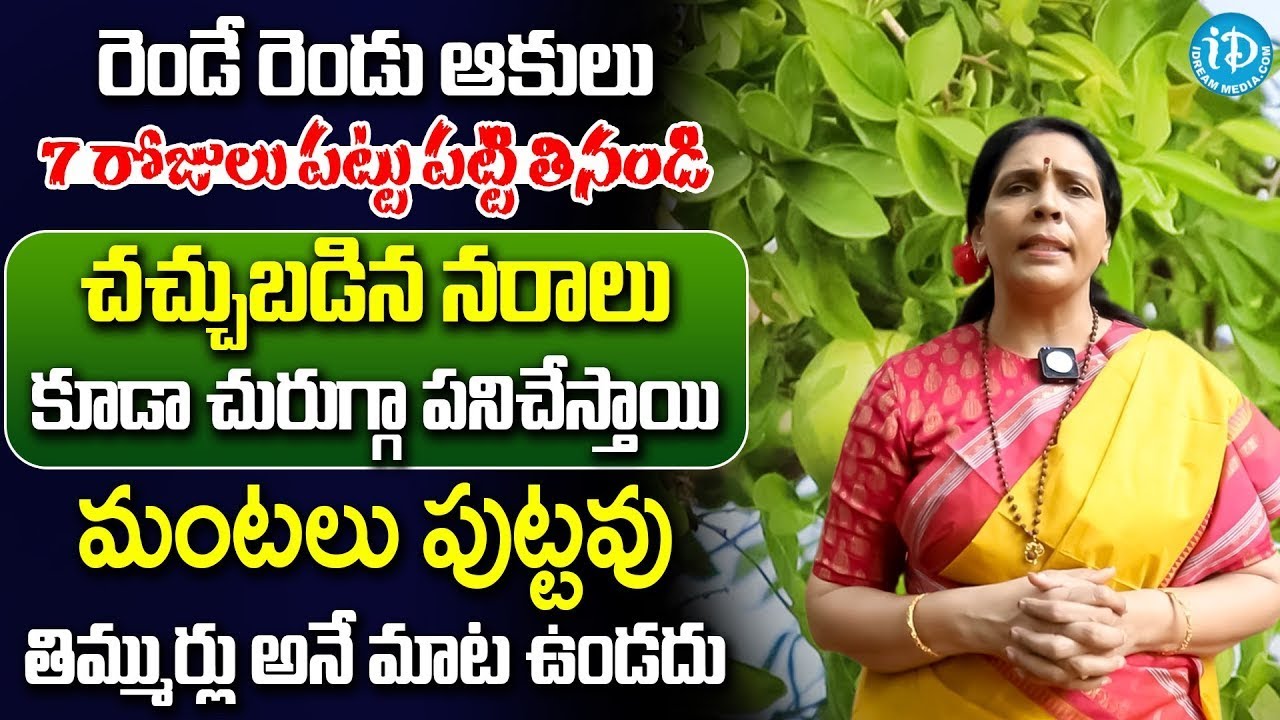 Aruna Devi - ఒక్క ఆకు చాలు నరాలన్నీ జెట్ స్పీడ్ తో పనిచేస్తాయి | Nerve Weakness | iDream Prime