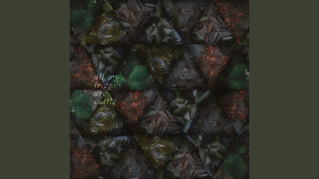Watch Bitter on YouTube Watch Bitter on YouTube