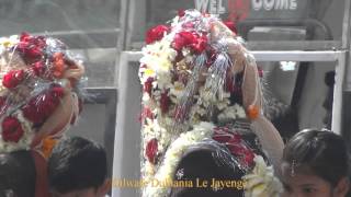 Grooms' Wedding Procession: A Jodhpur Baraat