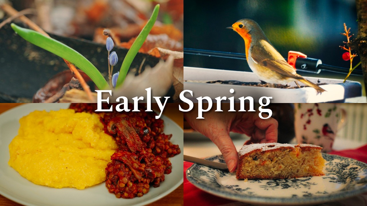 #36 Тихий влог ранней весны | Простой северный ужин