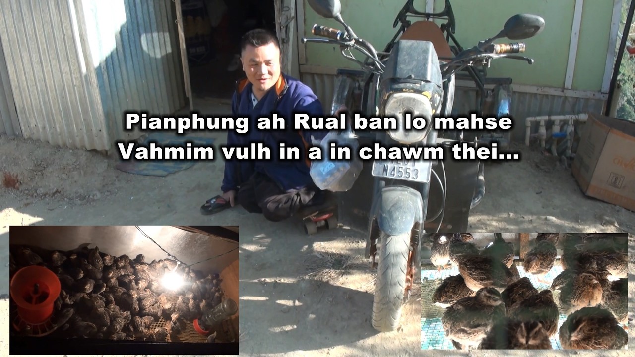 Vahmim farm siam tu Rualban lo entawn tlak