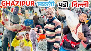 Ghazipur Fish Mandi Delhi Today Price 2024 ghazipur machli mandi wholesale ghazipur Fish market Near