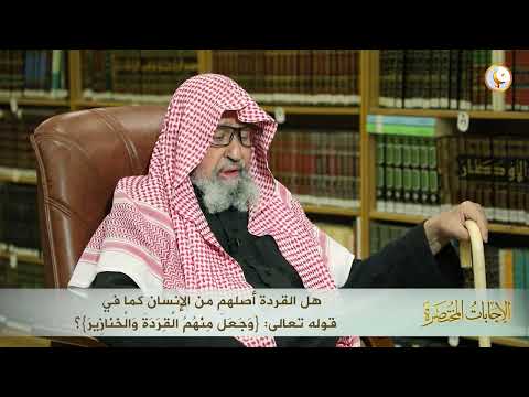 هل القردة أصلهم من الإنسان كما في قوله وجعل منهم القردة والخنازير العلامة الشيخ د صالح الفوزان