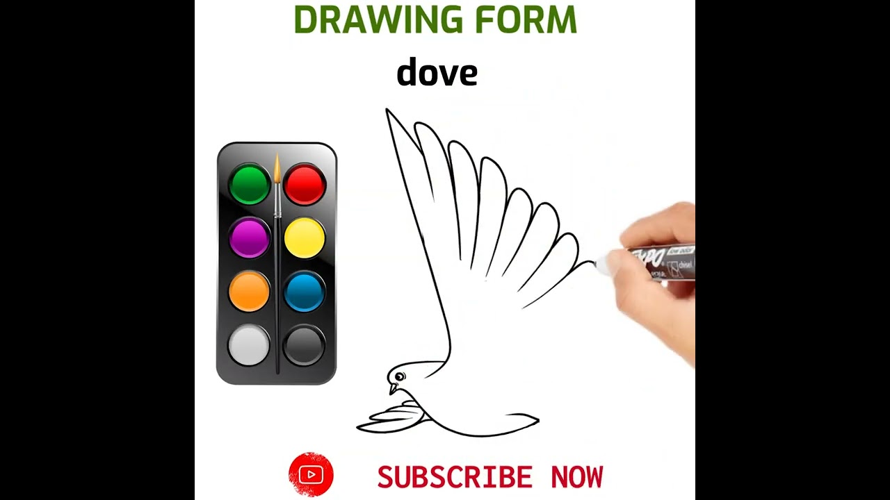 How to draw a Dove easy way Dove drawing step by step || cartoon Dove drawing for beginners
