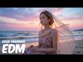 EDM Relax: Chill Vibes 🎧 Everyday Music for Relax &amp; Inspiration