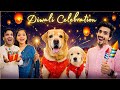 Diwali Leo ♌ #anantrastogi #funny #leo #reo #love #pets #anant #goldenretriever #petlover #vlogs 