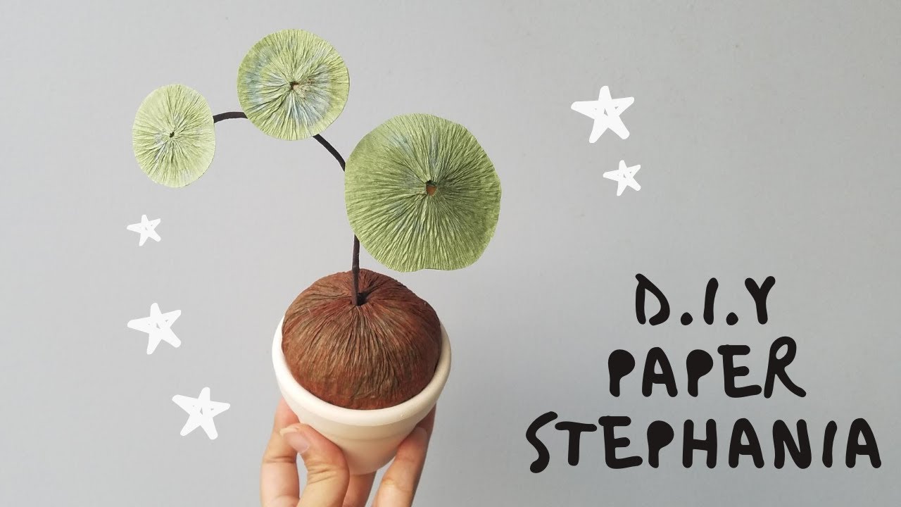 DIY paper stephania - how to make paper plant- White noise paper