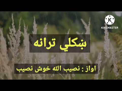 نصیب الله خوش نصیب خوندوره ترانه مخبت که د رنګونو مجموعه د Khush Naseeb Tarana