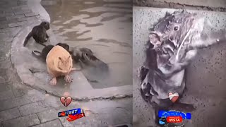 Celebrity I just hope a tailgater didn’t do this #goblue #shorts Net Worth