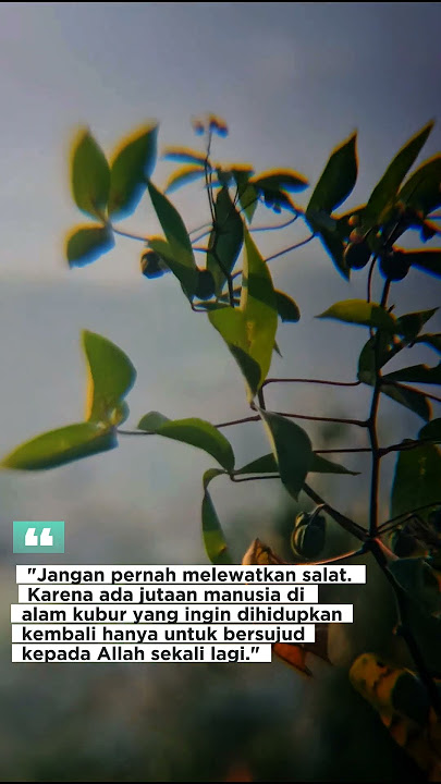 #story #foryou #storywa #menjadilebihbaik #motivational