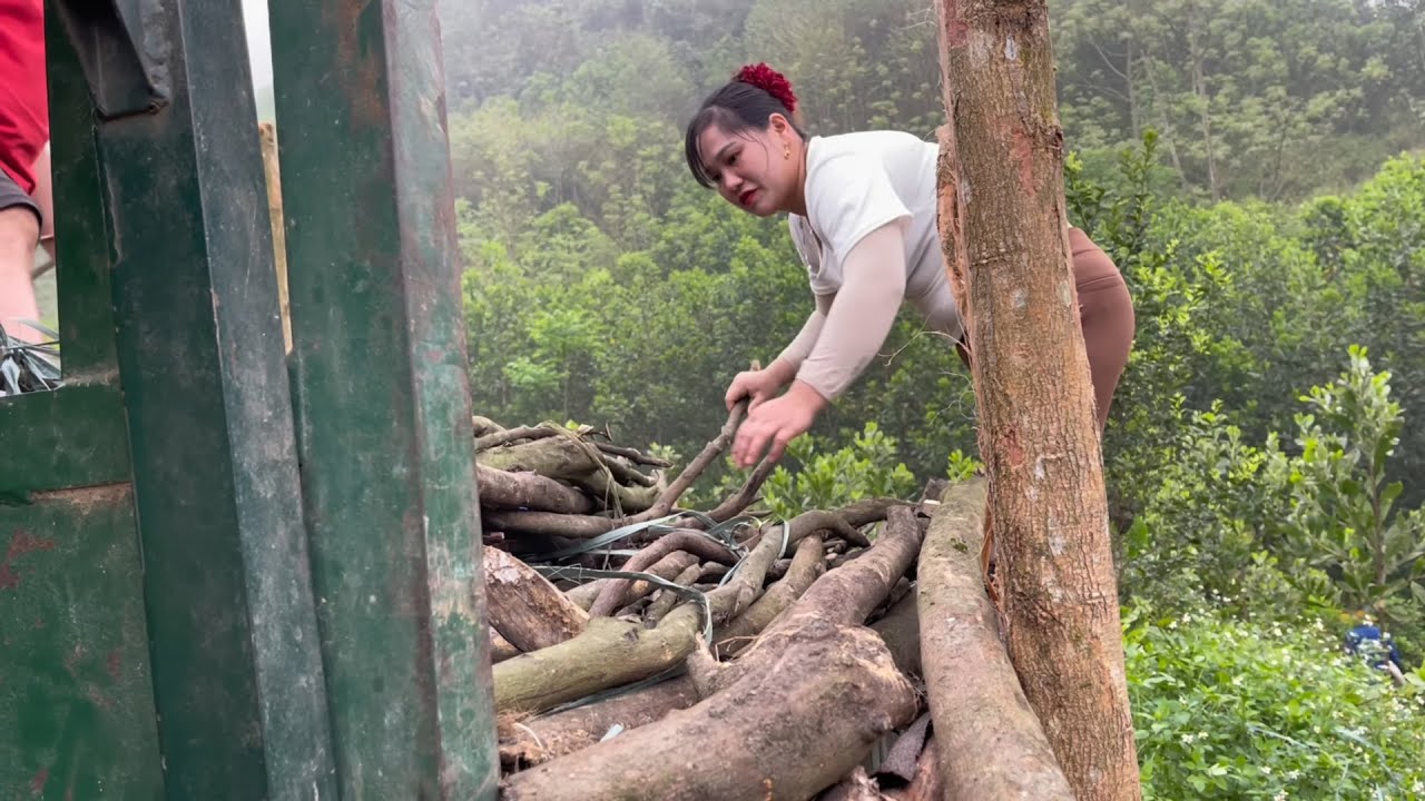 Agricultural Transport Vehicles and Efficient Farm Logistics Solutions_Abenteuer Vietnam