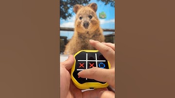 오늘도 즐거운 틱택토와 함께😆❤️ #tictactoe #cute #puzzle #funny #toys #games #틱택토 #재미 #함께해요 #어린이 #게임 #퍼즐