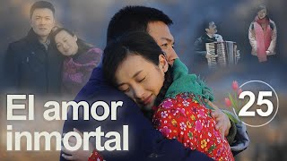 El amor inmortal 25|Telenovela china|Sub Español|一生只爱你|Drama