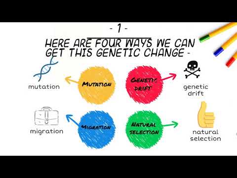 遺伝的変化または進化のメカニズム