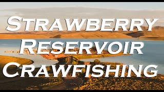 Crawfishing in Strawberry Reservoir, Utah