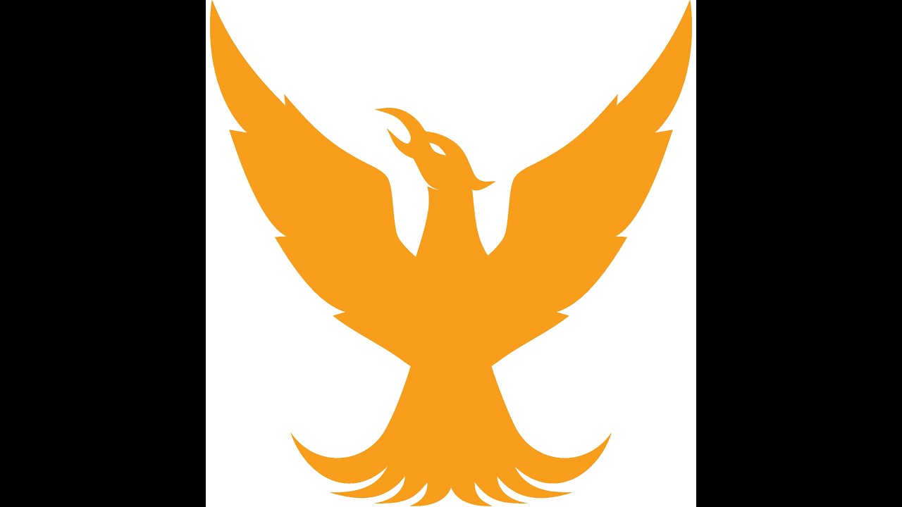 2026 Kegel QLD Open 'D' Squad Qualifying