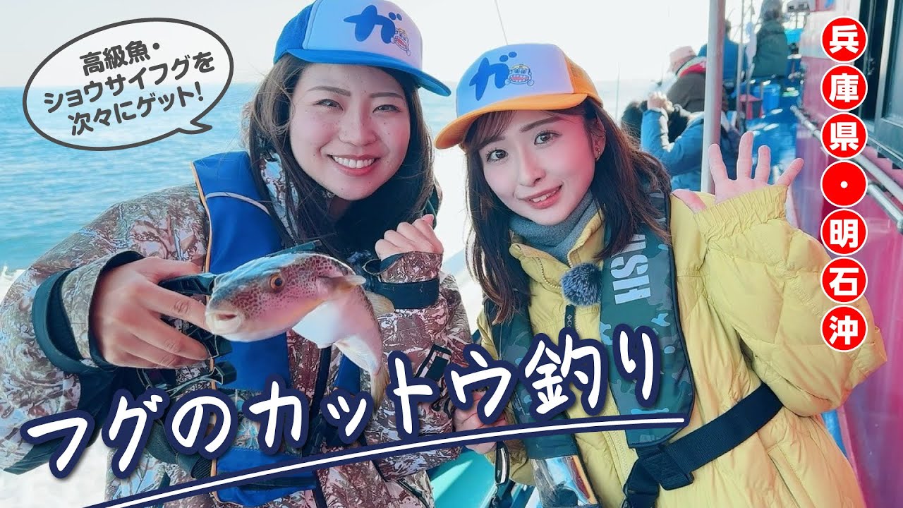 明石沖で快釣！ショウサイフグのカットウ釣り【ガッ釣り関西232】