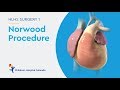 What is the Norwood Procedure for Hypoplastic Left Heart Syndrome