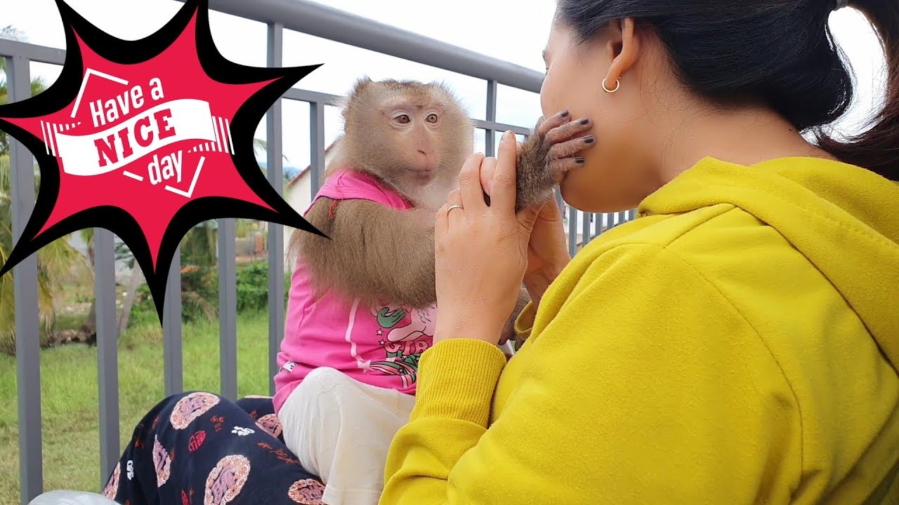 Monkey Nui sorry mom