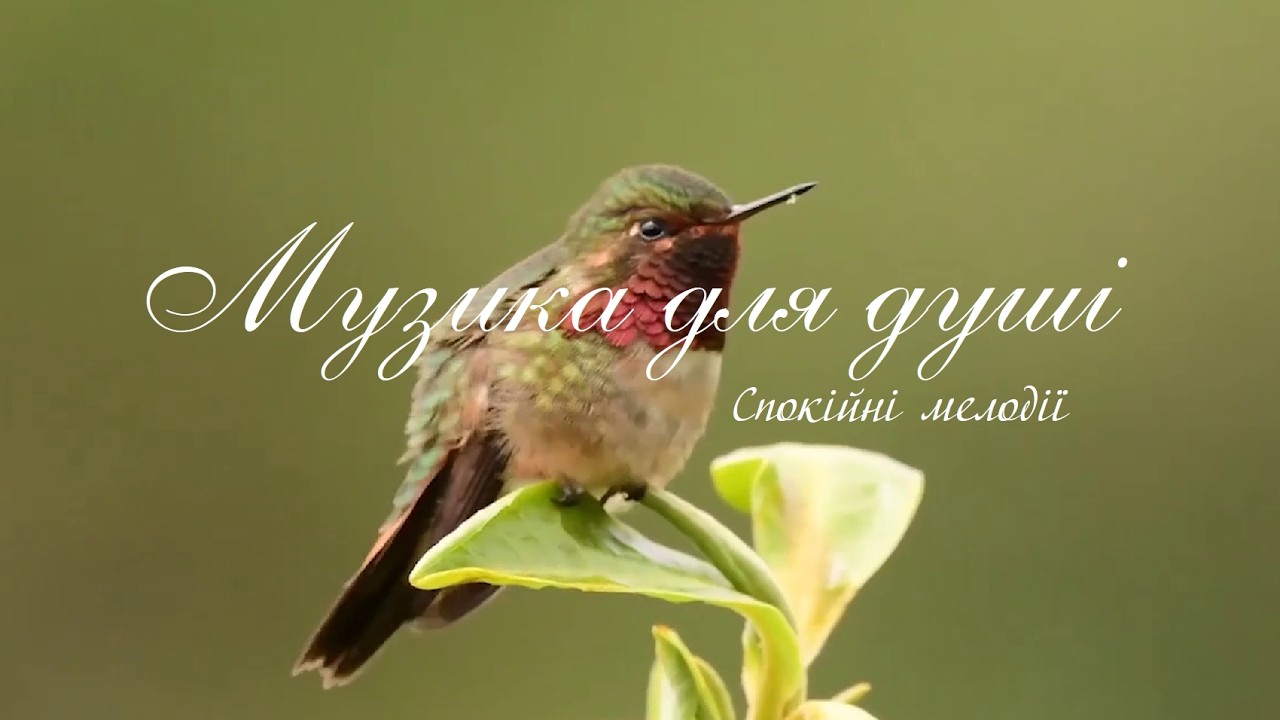 Музика для душі | Спокійні мелодії
