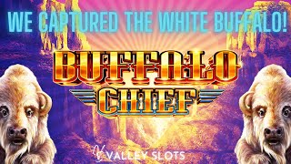 Captured the Elusive White Buffalo on Buffalo Chief Slot Machine screenshot 3