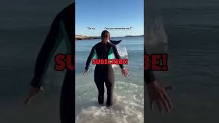 Why Do Dolphins Always Look Friendly to Humans #shorts #why #facts #dolphins #science #oceanlife