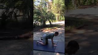 Crawl with ball on low back