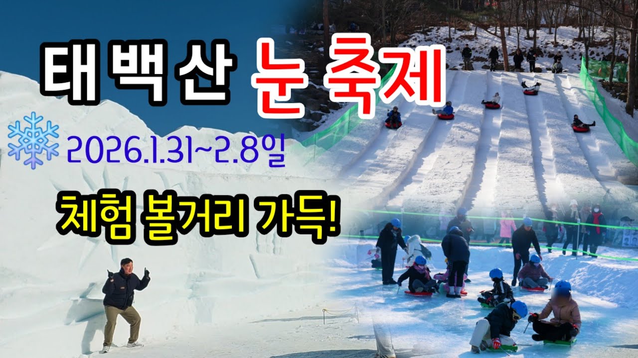 강원도 태백산2026년 눈 축제 기본정보 - 100%즐기기 체험거리 즐길거리 가득한 인기축제!