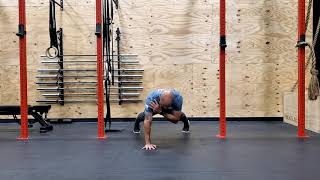 Plank Shoulder Taps