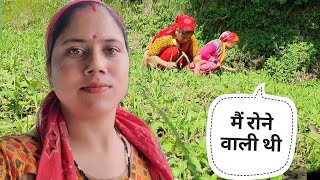 अपना काम छोड़कर आरती के साथ खेत में || Pahadi Lifestyle Vlog || Priyanka Yogi Tiwari ||