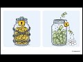 ACCA CBL Chapter 13 Capital Maintenance and Dividends videos