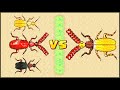 ЖУК БОМБАРДИР! Тест ЖУКА БОМБАРДИРА | ЖУК БОМБАРДИР против ПАУССИНЫ - Pocket Ants: Симулятор Колонии