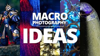 Top 5 Macro Photography Projects For 2026