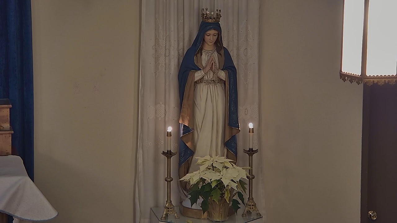 Rosary, January 31, 2024